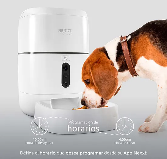 website template image